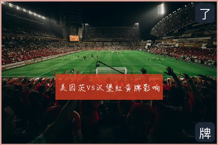 美因茨vs汉堡红黄牌影响